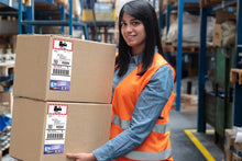 Load image into Gallery viewer, Epson ColorWorks C6000P Matte Color Label Printer plus Label Boost Software (C31CH76A9951) - Jet City Label - C31CH76A9951