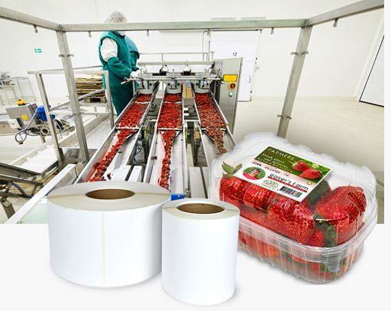 4” x 3” Gloss Polypropylene BOPP Inkjet Labels - 8” OD Rolls - 4 Rolls / Case - 2000 Labels / Roll - 8000 Labels / Case - Priced per Case - Jet City Label